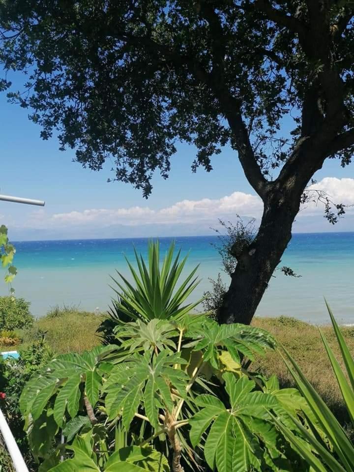 Apartmán Astrakeroula Corfu Astrakeri Exteriér fotografie